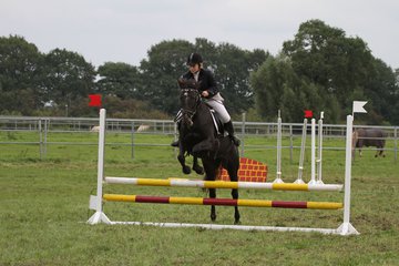 Bild 1469 - WBO-Turnier am 18.9.11